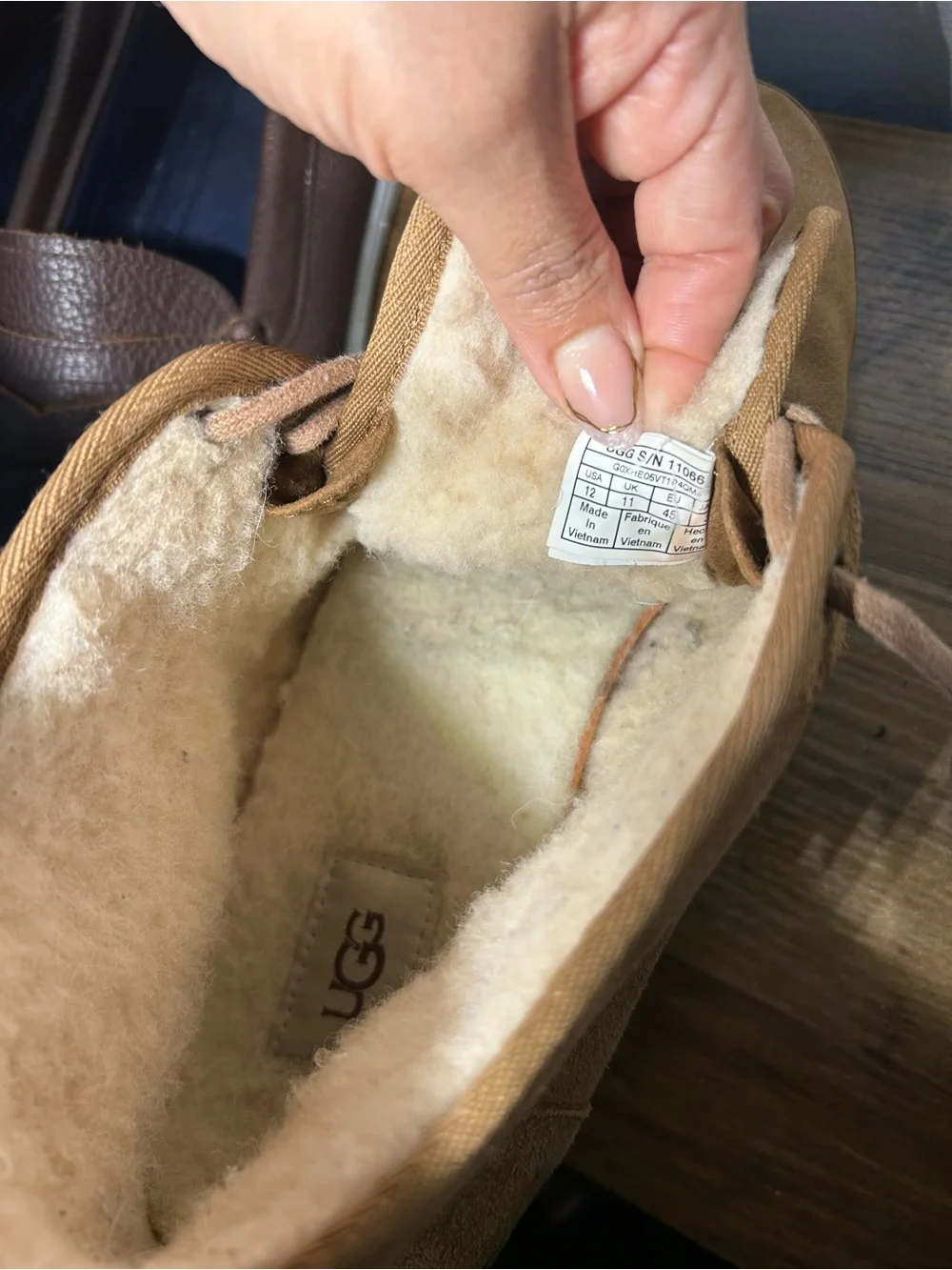 UGG suede chukka